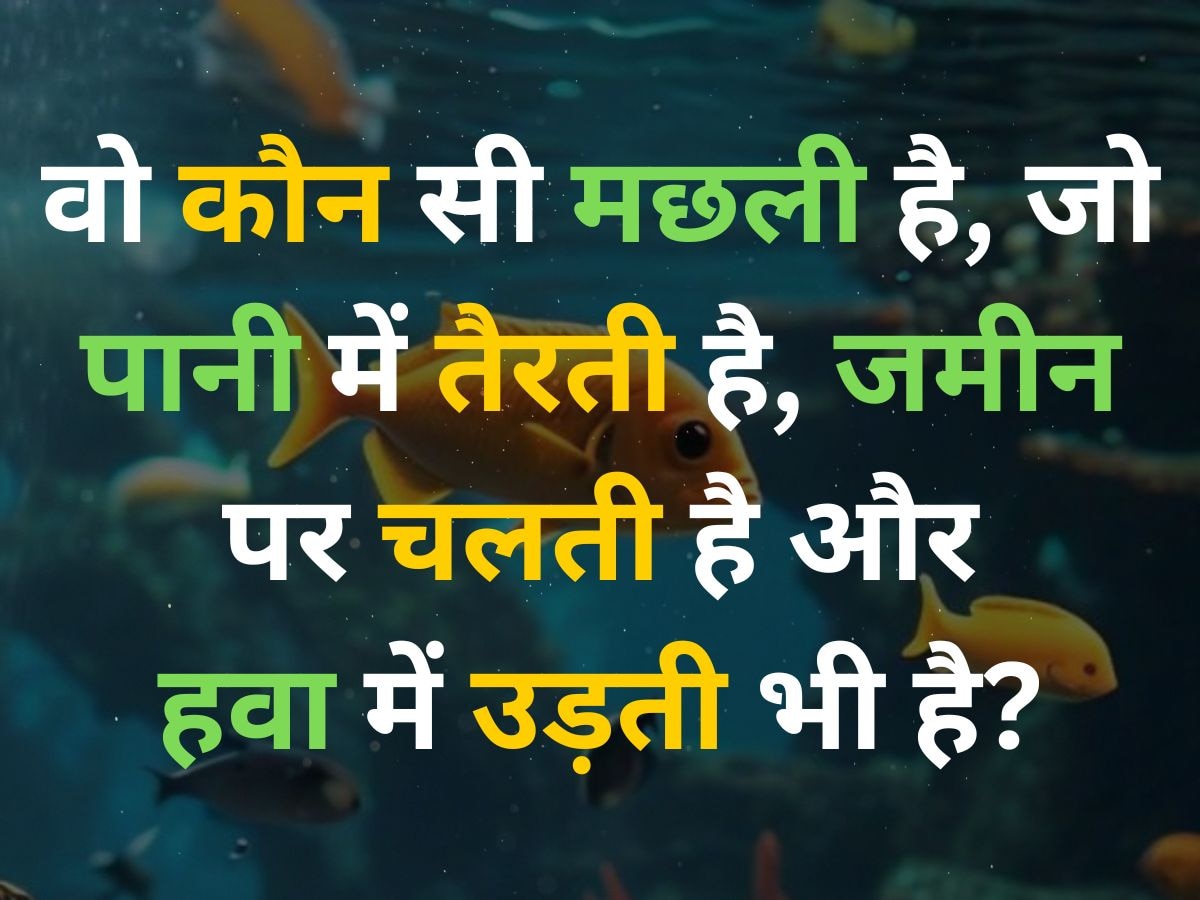 Trending Quiz: वो कौन सी मछली है, जो पानी में तैरती है, जमीन पर चलती है और हवा में उड़ती भी है?