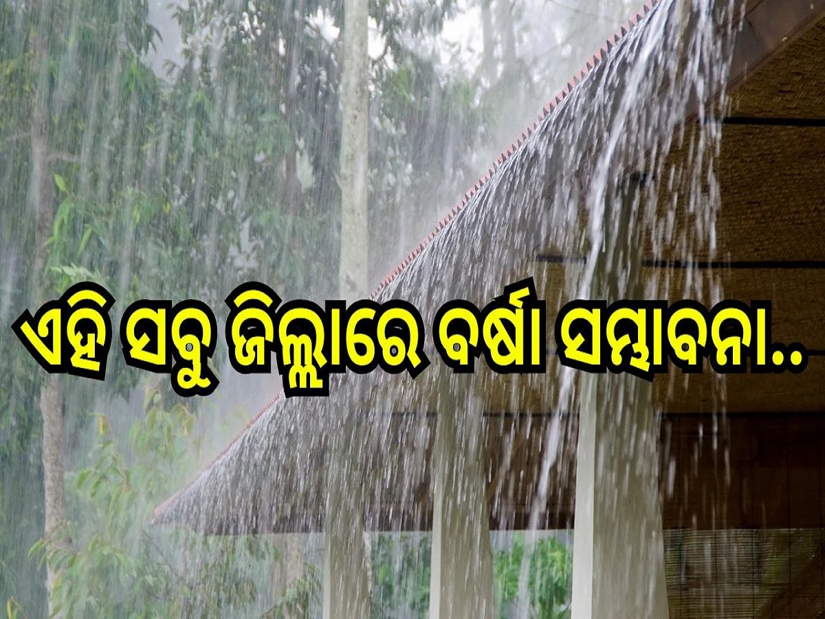 Weather Report: ଲଘୁଚାପ କ୍ଷେତ୍ରରେ ପରିଣତ ହୋଇଛି ଅବପାତ, ଏହି ସବୁ ଜିଲ୍ଲାରେ ବର୍ଷା...