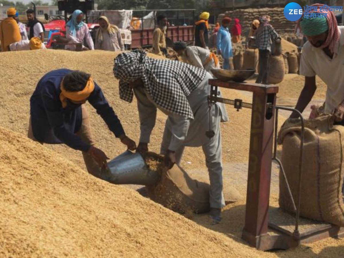 Paddy Lifting Issue: CM ਮਾਨ ਦੀ ਅਗਵਾਈ 'ਚ ਝੋਨੇ ਦੀ ਲਿਫਟਿੰਗ ਨੇ ਫੜੀ ਰਫ਼ਤਾਰ! ਜਾਣੋ 6 ਦਿਨਾਂ 'ਚ ਕਿੰਨਾ ਹੋਇਆ ਵਾਧਾ