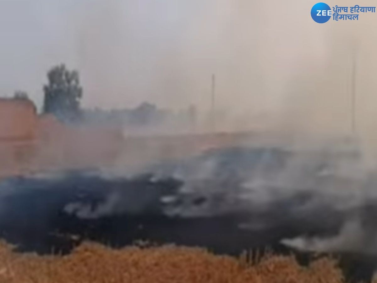 Farmers Protest: ਮਾਨਸਾ 'ਚ ਪਰਾਲੀ ਨੂੰ ਅੱਗ ਲਗਾ ਕੀਤਾ ਵਿਰੋਧ ਪ੍ਰਦਰਸ਼ਨ, ਸਰਕਾਰ ਨੇ ਪਰਾਲੀ ਦੀ ਰਹਿਦ-ਖੂੰਹਦ ਦਾ ਨਹੀਂ ਕੀਤਾ ਕੋਈ ਹੱਲ