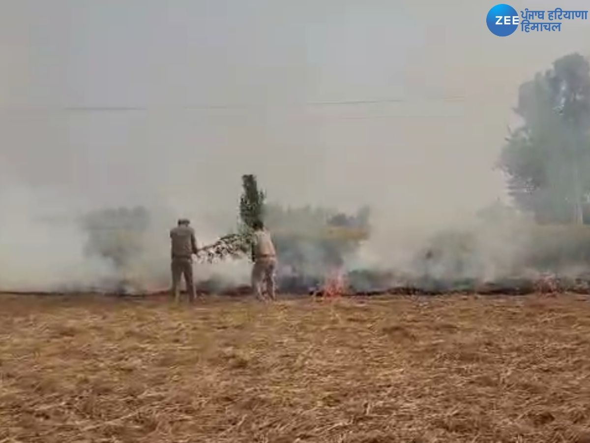 Ferozepur Stubble Burning Case: ਫ਼ਸਲ ਦੀ ਕਟਾਈ ਤੋਂ ਬਾਅਦ ਕਿਸਾਨ ਪਰਾਲੀ ਨੂੰ ਲਗਾ ਰਹੇ ਅੱਗ! ਵਾਤਾਵਰਨ ਹੋ ਰਿਹਾ ਖ਼ਰਾਬ,  150 ਕੇਸ ਦਰਜ