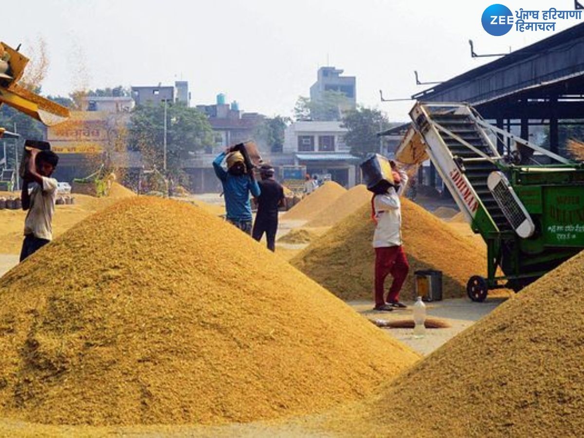 Paddy Lifting Issue: CM ਮਾਨ ਦੀ ਅਗਵਾਈ 'ਚ ਝੋਨੇ ਦੀ ਲਿਫਟਿੰਗ ਨੇ ਫੜੀ ਰਫ਼ਤਾਰ, ਜਾਣੋ ਅੱਜ ਕਿੰਨਾ ਹੋਇਆ ਵਾਧਾ