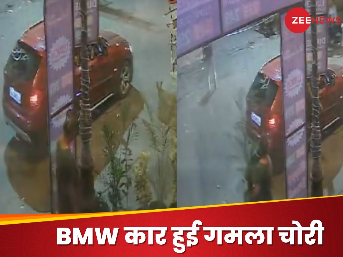 BMW कार से आई महिला और चुराने लग गई गमला, CCTV फुटेज में रिकॉर्ड हुआ सबकुछ