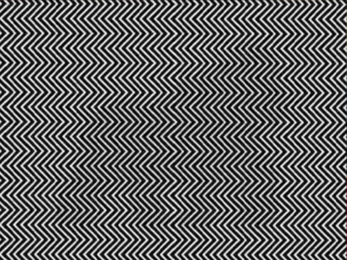 Optical Illusion: दिमाग की नसें उलझ जाएंगी, लेकिन फोटो में जानवर खोजना है मुश्किल; क्या आपने देखा?