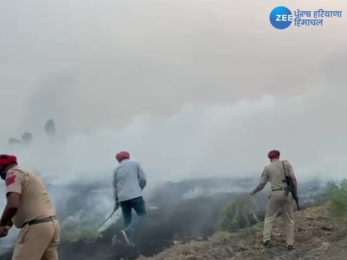 Ferozepur Stubble Burning Case: ਨਹੀਂ ਟਲਦੇ ਕਿਸਾਨ, ਸਾੜੀ ਜਾ ਰਹੇ ਹਨ ਪਰਾਲੀ, ਪੁਲਿਸ ਵਾਲਿਆਂ ਬੁਝਾਆ ਅੱਗ, ਹਰ ਪਾਸੇ ਧੂੰਆਂ