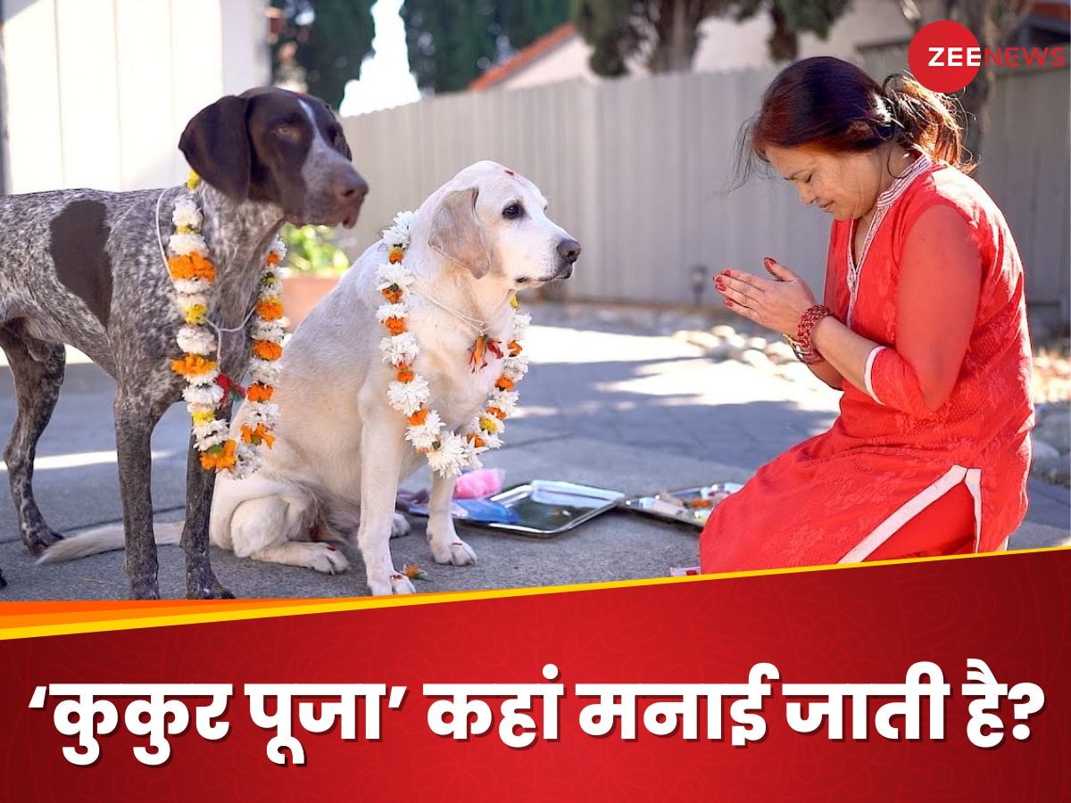 कुत्तों के गले में माला, माथे पर टीका..., क्या है 'कुकुर पूजा'? हिंदुओं का सबसे अनोखा त्योहार