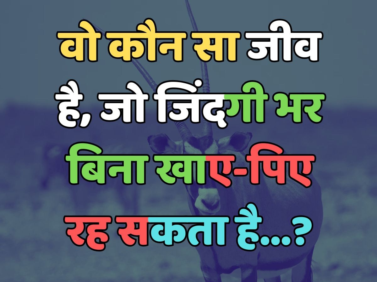 Which creature can live without eating or drinking for its entire life