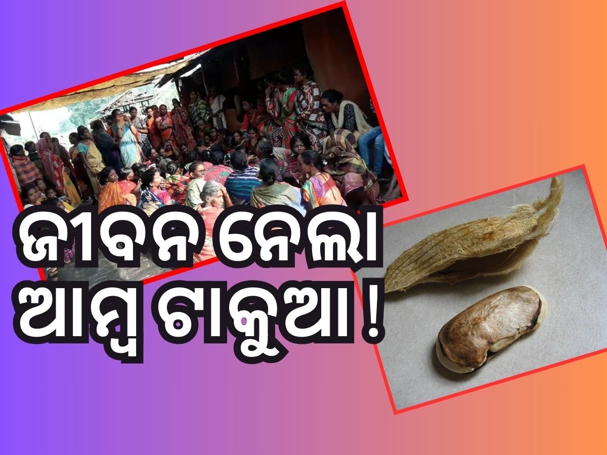 ଆମ୍ୱ ଟାକୁଆ ଖାଇ ୨ ମୃତ, ୮ ଅସୁସ୍ଥ