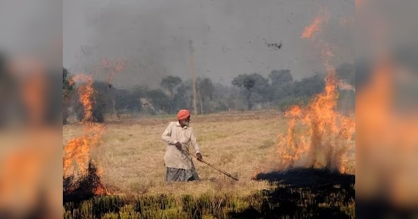 पंजाब में खेतों में आग लगाने के 350 से अधिक मामले सामने आए, संगरूर में सबसे ज्यादा