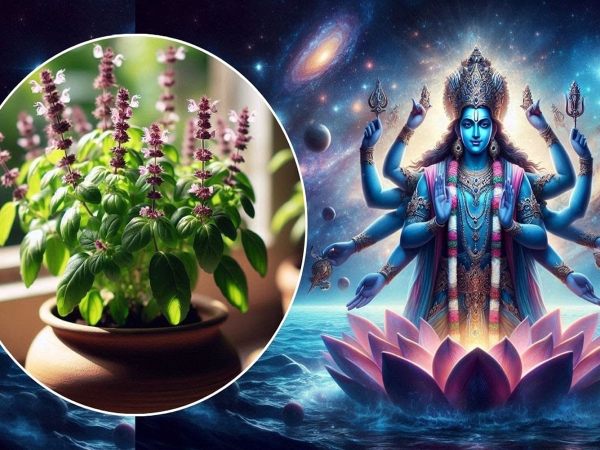 tulsi vivah 2024 date why did lord vishnu marry mata tulsi aur vishnu