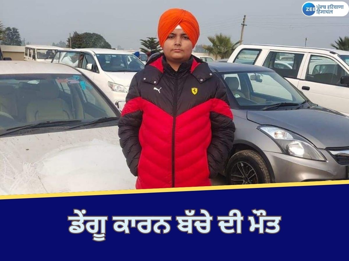 Rajpura News: ਰਾਜਪੁਰਾ ਦੇ ਪਿੰਡ ਮਰਦਾਂਪੁਰ 'ਚ ਡੇਂਗੂ ਨਾਲ 14 ਸਾਲਾ ਬੱਚੇ ਦੀ ਮੌਤ