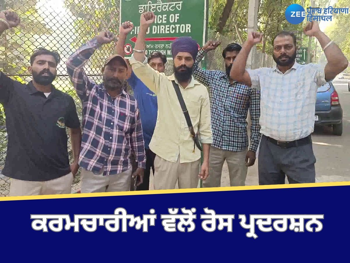 Banur News: ਜ਼ੀਰਕਪੁਰ ਦੇ ਛੱਤ ਬੀੜ ਚਿੜੀਆ ਘਰ ਵਿਖੇ ਕਰਮਚਾਰੀਆਂ ਵੱਲੋਂ ਰੋਸ ਪ੍ਰਦਰਸ਼ਨ