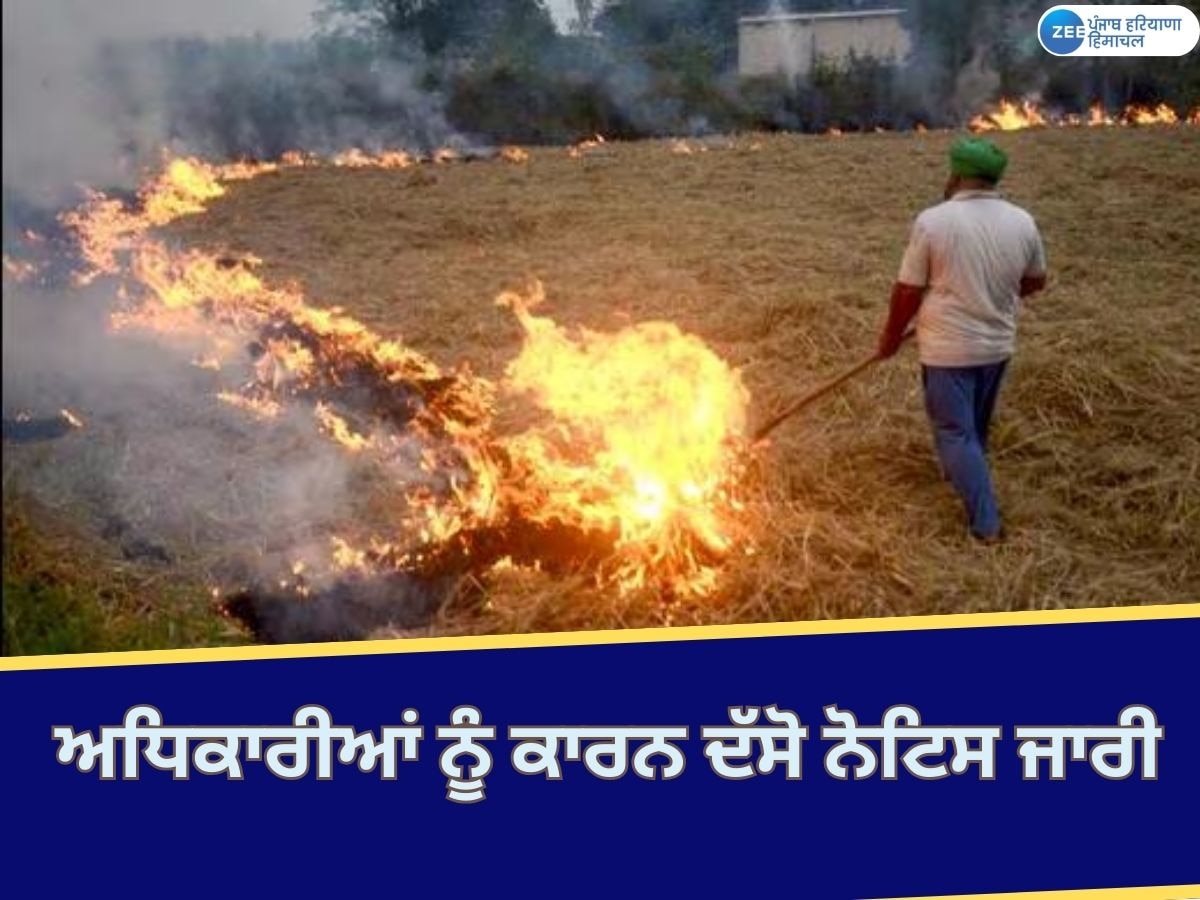 Moga News: ਪਰਾਲੀ ਸਾੜਨ ਦੇ ਕੇਸਾਂ ਨੂੰ ਲੈ ਕੇ ਜ਼ਿਲ੍ਹਾ ਮੈਜਿਸਟ੍ਰੇਟ ਨੇ ਪੀਸੀਐਸ ਪੱਧਰ ਦੇ ਅਧਿਕਾਰੀਆਂ ਨੂੰ ਜਾਰੀ ਕੀਤੇ ਕਾਰਨ ਦੱਸੋ ਨੋਟਿਸ