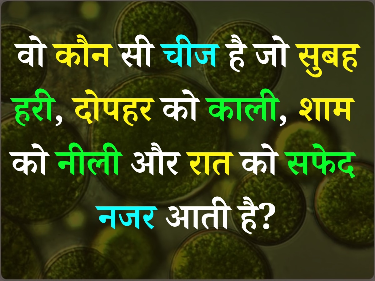 Quiz: वो कौन सी चीज है जो सुबह हरी, दोपहर को काली, शाम को नीली और रात को सफेद नजर आती है?