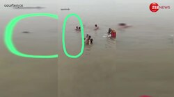 Ghazipur: मौसी बनाती रहीं रील... गंगा नदी में डूब गई 4 साल की मासूम, वायरल हुआ लाइव वीडियो