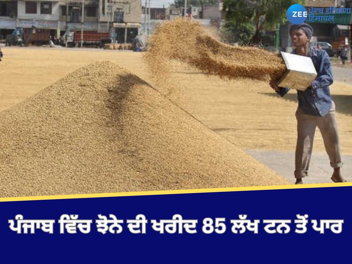 Paddy Procurement: ਪੰਜਾਬ ਵਿੱਚ ਝੋਨੇ ਦੀ ਖਰੀਦ 85 ਲੱਖ ਟਨ ਤੋਂ ਪਾਰ, ਕਿਸਾਨਾਂ ਨੂੰ 19,800 ਕਰੋੜ ਰੁਪਏ ਦਾ ਕੀਤਾ ਭੁਗਤਾਨ