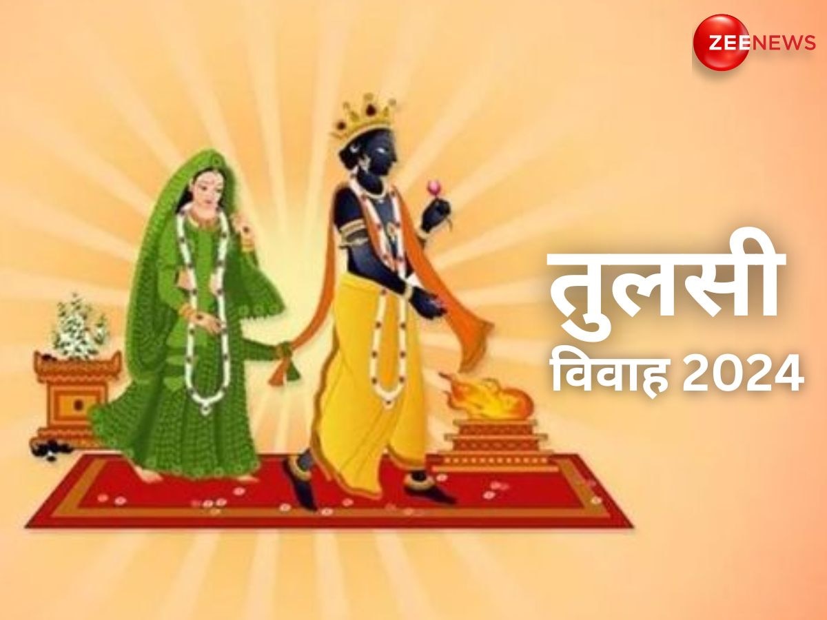 Tulsi Vivah 2024: 12 या 13 नवंबर कब है तुलसी विवाह? जान लें सही तारीख, शुभ मुहूर्त और महत्व