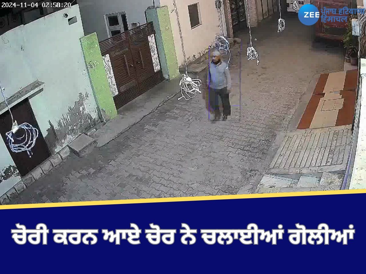 Ludhiana News: ਚੋਰੀ ਕਰਨ ਆਏ ਚੋਰ ਨੇ ਚਲਾਈਆਂ ਗੋਲੀਆਂ, ਗੋਲੀ ਲੱਗਣ ਕਾਰਨ ਇਕ ਨੌਜਵਾਨ ਜ਼ਖਮੀ