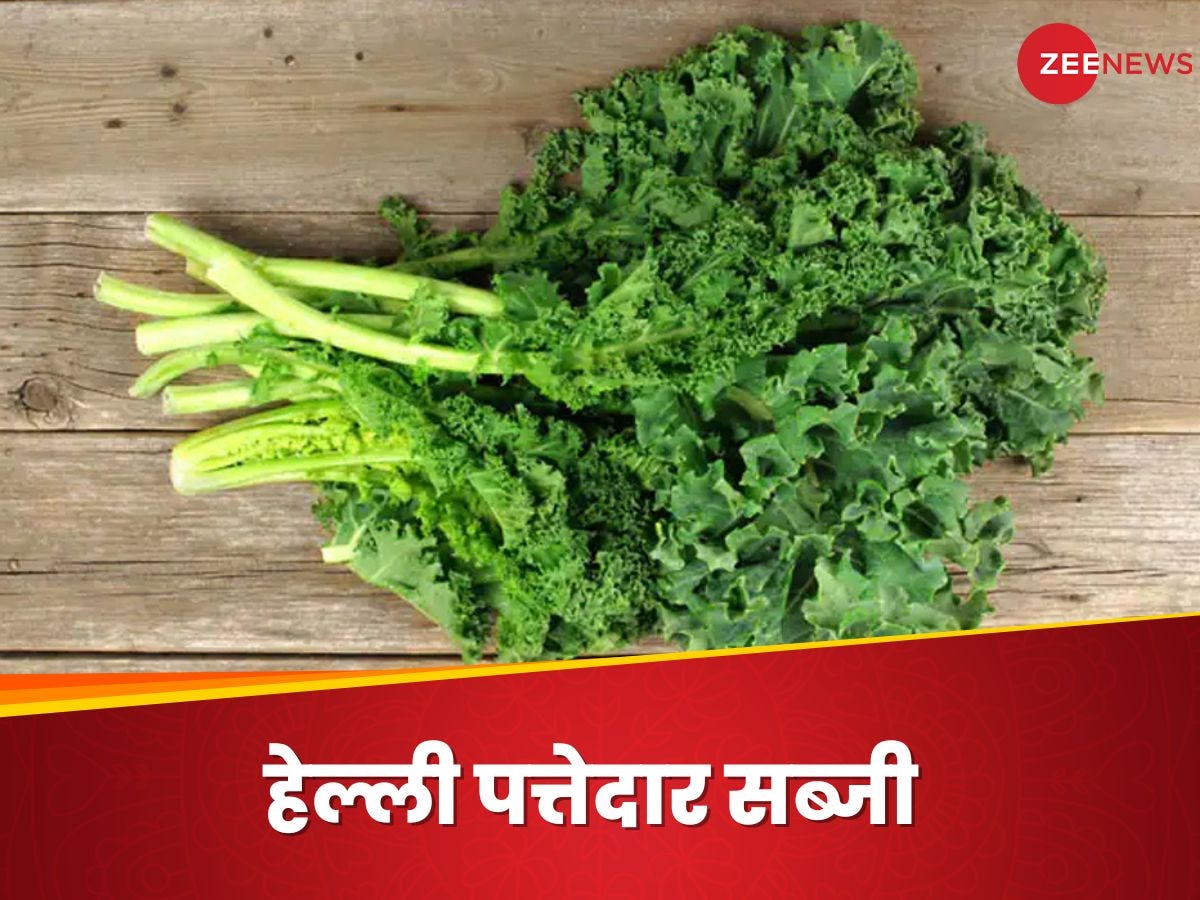 Kale: सलाद बनाकर आप भी खाते हैं केल की सब्जी? जानिए कौन-कौन से फायदों के हैं हकदार