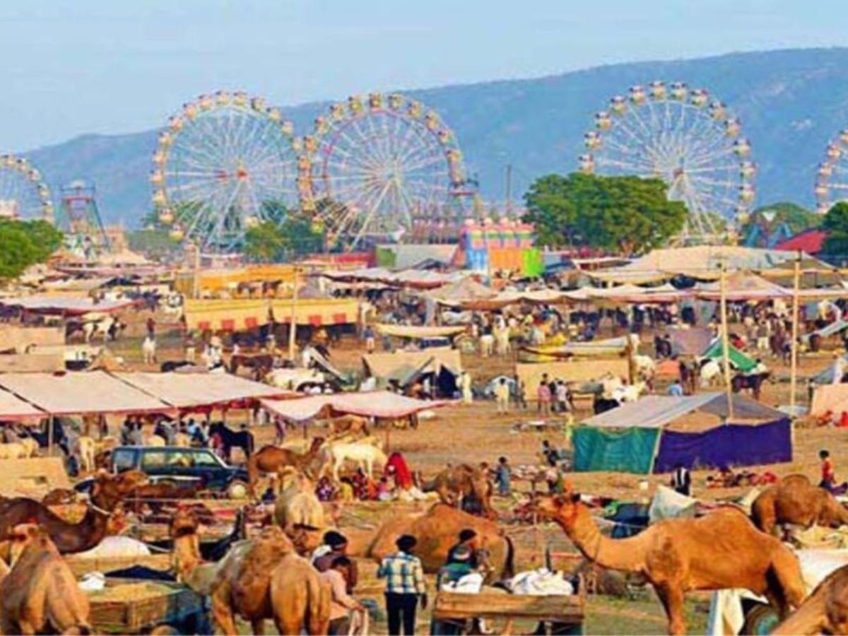 Pushkar cattle fair