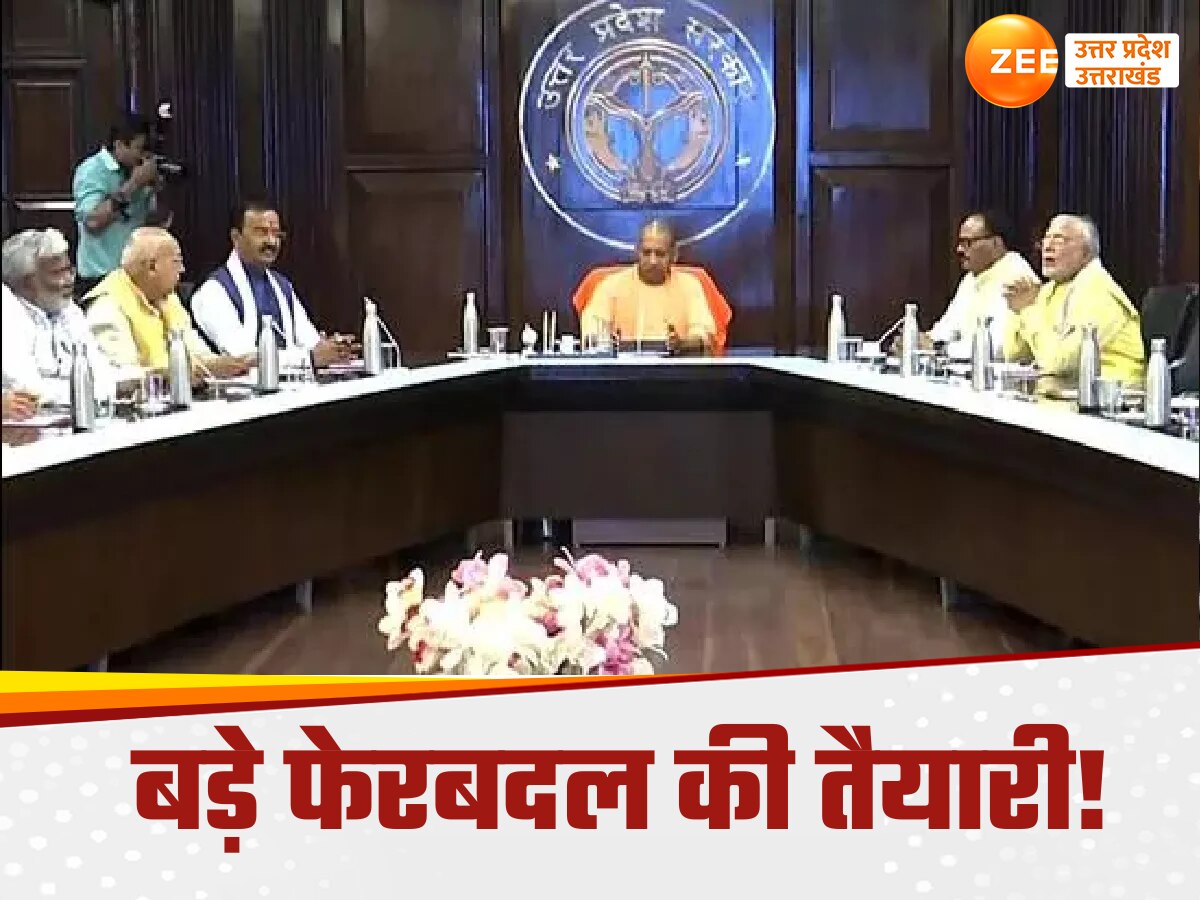 Yogi Cabinet