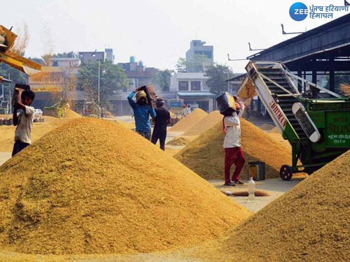 Paddy Lifting Case: ਪੰਜਾਬ ਵਿੱਚ ਝੋਨੇ ਦੀ ਲਿਫਟਿੰਗ ਨੇ ਫੜੀ ਰਫ਼ਤਾਰ, ਜਾਣੋ ਅੱਜ ਕਿੰਨਾ ਹੋਇਆ ਵਾਧਾ