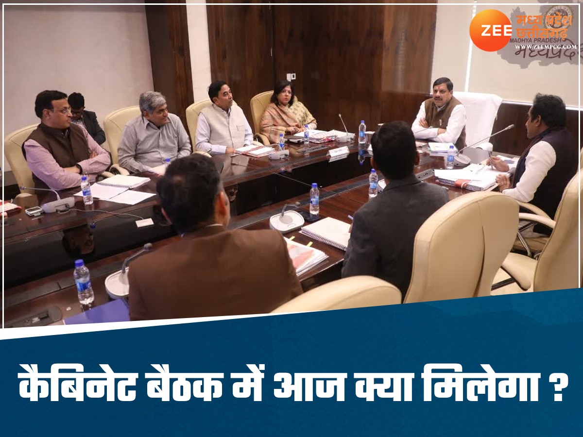 mohan yadav cabinet meeting today 