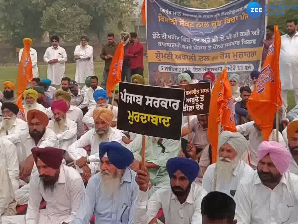 SAD Protest: ਝੋਨੇ ਦੀ ਖਰੀਦ ਤੇ ਡੀਏਪੀ ਦੀ ਕਾਲਾ ਬਾਜ਼ਾਰੀ ਨੂੰ ਲੈ ਕੇ ਸ਼੍ਰੋਮਣੀ ਅਕਾਲੀ ਦਲ ਵੱਲੋਂ ਮਾਨਸਾ ਵਿਖੇ ਧਰਨਾ ਪ੍ਰਦਰਸ਼ਨ