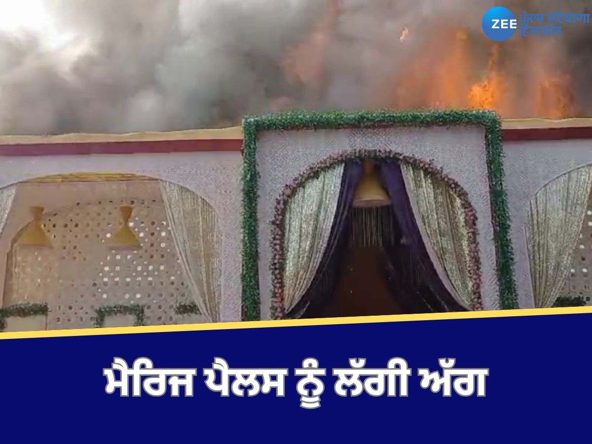 Hoshiarpur News: ਵਿਆਹ ਵਾਲੇ ਪੈਲਸ ਨੂੰ ਸ਼ਾਰਟ ਸਰਕਿਟ ਕਾਰਨ ਅਚਾਨਕ ਲੱਗੀ ਅੱਗ