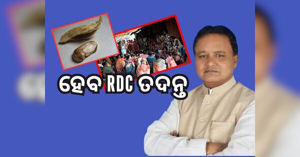 Chief Minister orders RDC to investigate kandhamal mango kernel eating ...