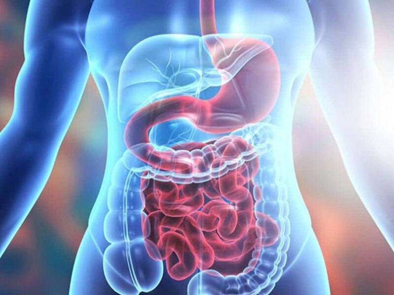 Do you have digestive problems Follow these steps to solve