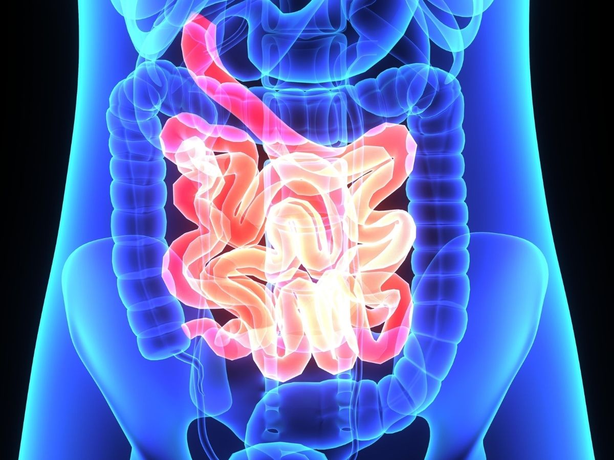 Digestion Problem Inida Do you have digestive problems Follow these steps to solve