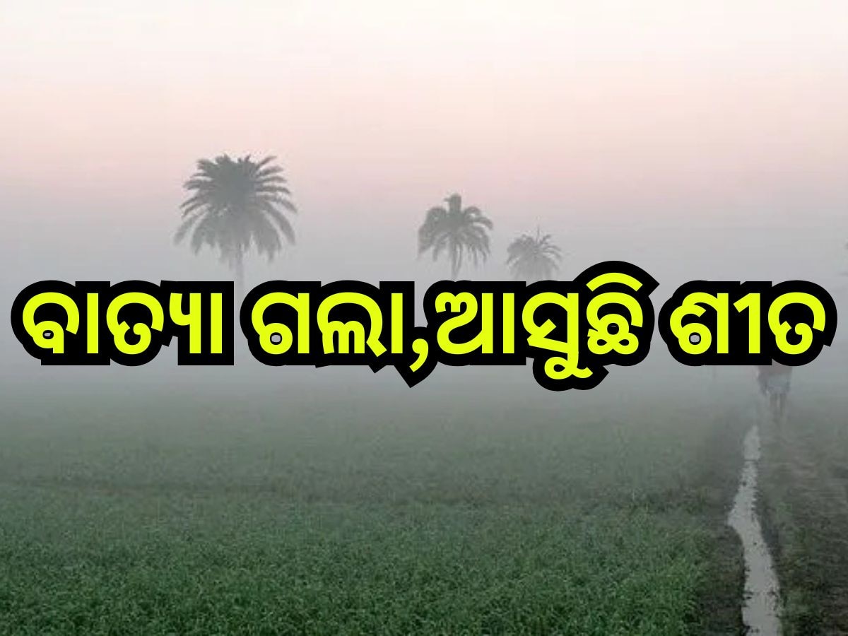 Weather Update: ରାଜ୍ୟରେ କେବେଠୁ ହେବ ଥଣ୍ଡା ଅନୁଭୂତ? ଜାଣନ୍ତୁ କ'ଣ କହୁଛି ପାଣିପାଗ ରିପୋର୍ଟ