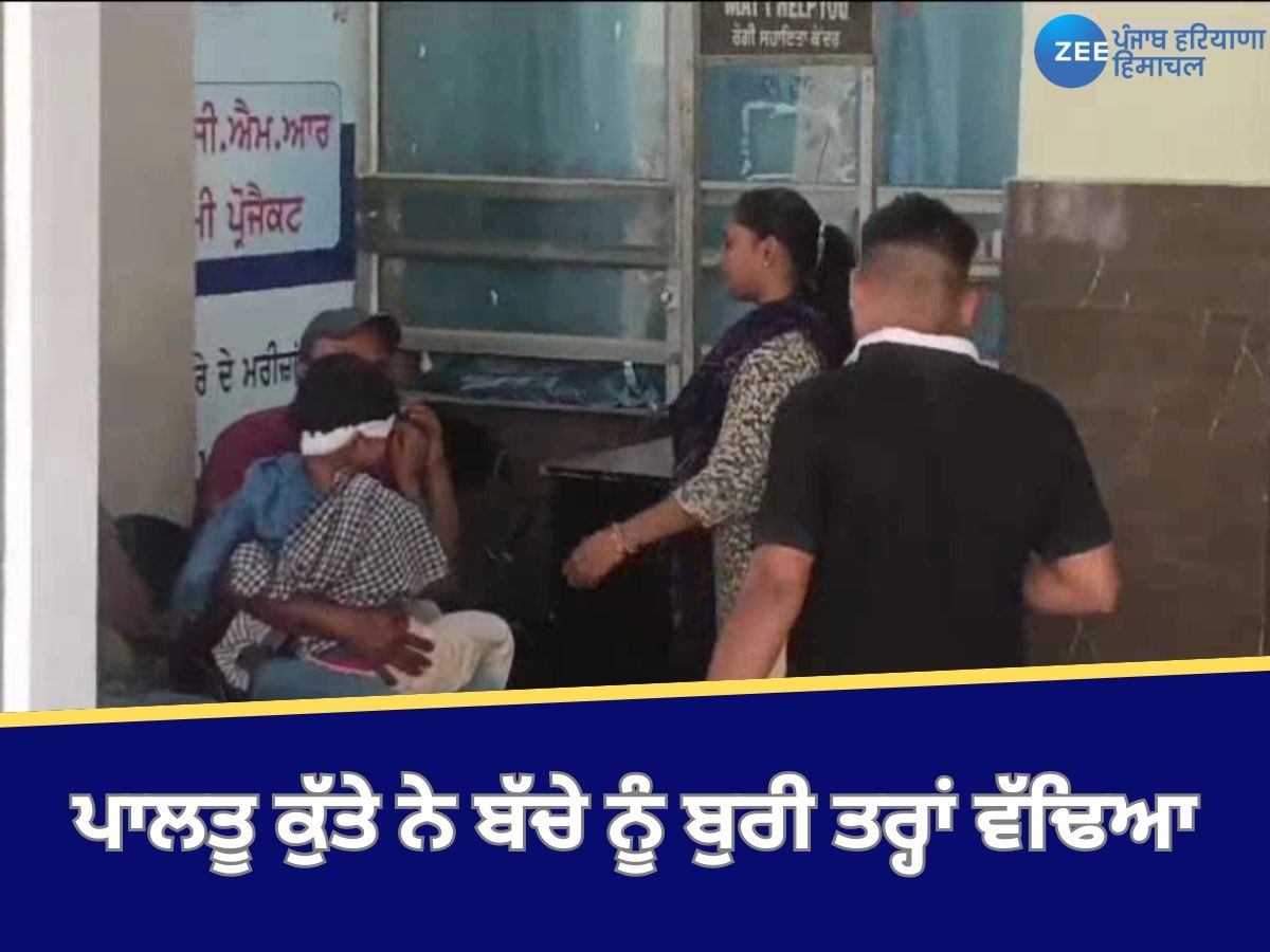 Ludhiana News: ਮਾਸੂਮ ਬੱਚੇ ਨੂੰ ਪਾਲਤੂ ਕੁੱਤੇ ਨੇ ਵੱਢਿਆ; ਚਿਹਰੇ 'ਤੇ ਲੱਗੇ 12 ਟਾਂਕੇ