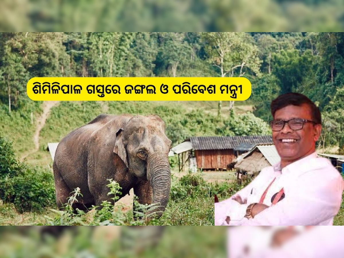 Odisha News: ଶିମିଳିପାଳ ଗସ୍ତରେ ଜଙ୍ଗଲ ଓ ପରିବେଶ ମନ୍ତ୍ରୀ ଗଣେଶ ରାମ ସିଂ ଖୁଣ୍ଟିଆ