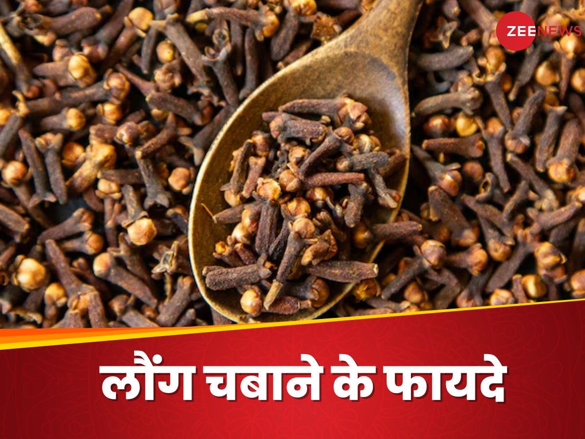 Clove: सुबह खाली पेट क्यों चबाना चाहिए लौंग? फायदे जानेंगे तो खाए बिना नहीं रह पाएंगे आप