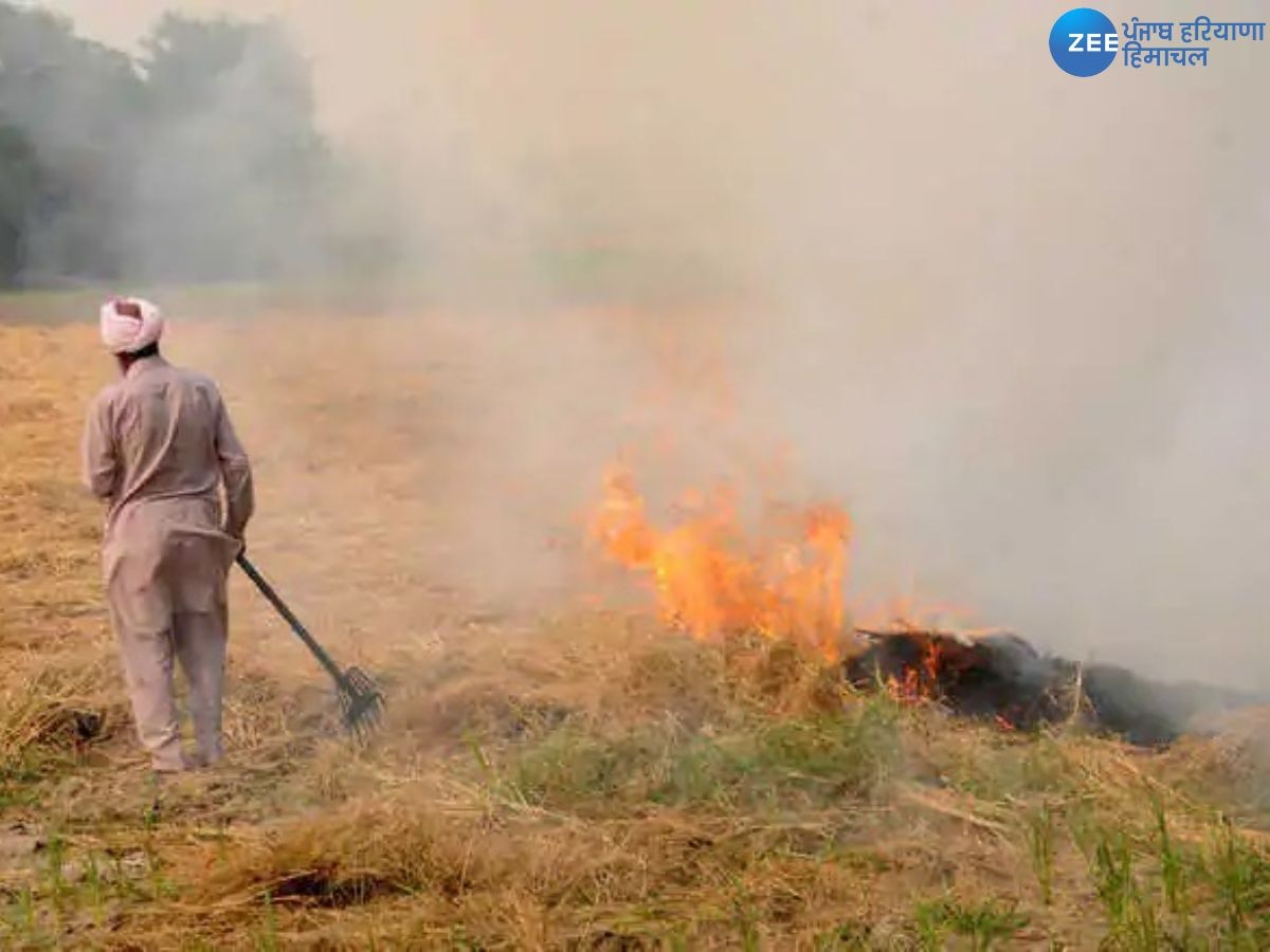 Bathinda Stubble Burning: ਪਿਛਲੇ ਸਾਲਾਂ ਦੇ ਮੁਕਾਬਲੇ ਪਰਾਲੀ ਨੂੰ ਅੱਗ ਲਾਉਣ ਦੇ ਮਾਮਲੇ 75% ਘਟੇ