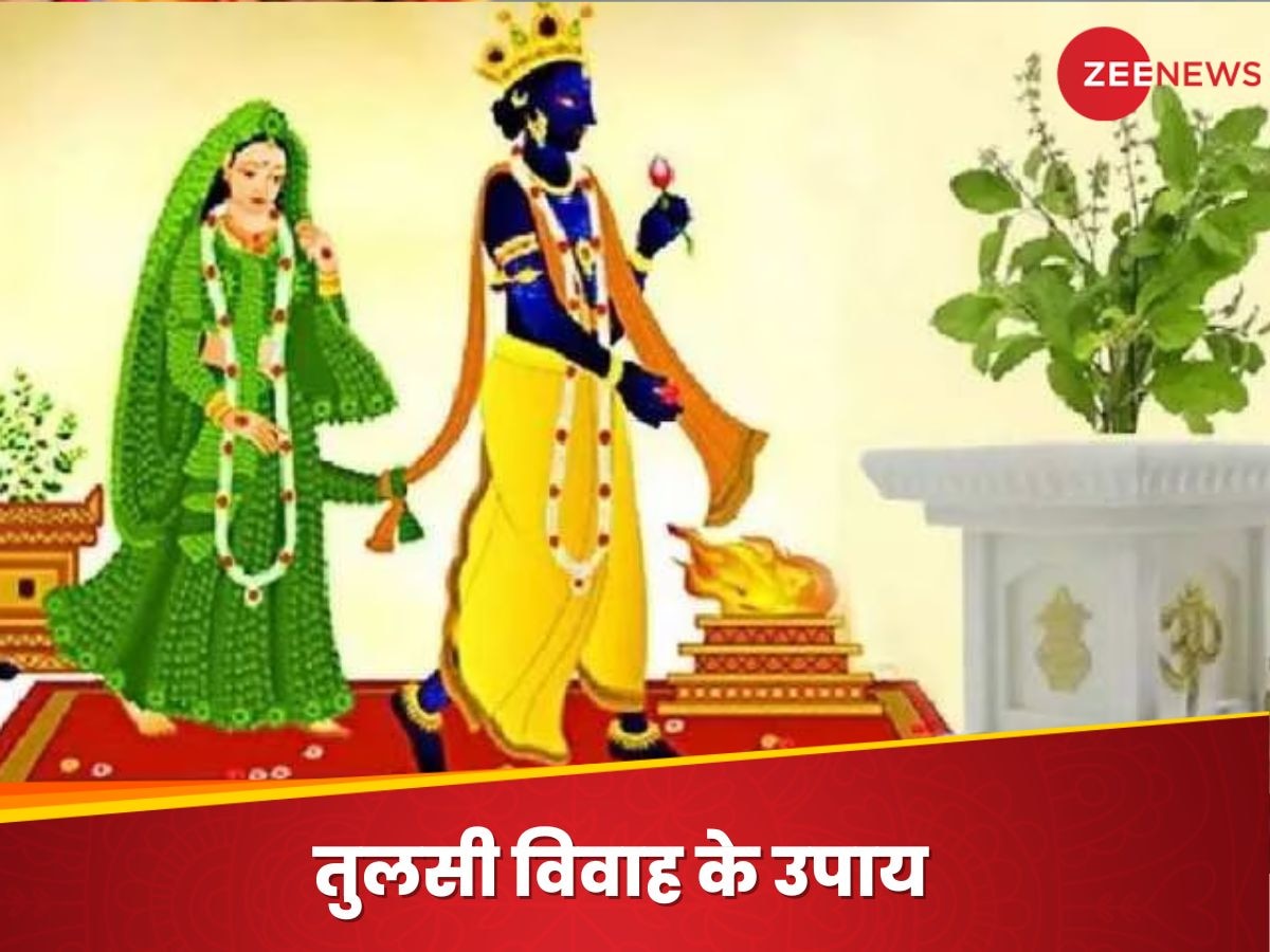 Tulsi Vivah ke Upay: तुलसी विवाह के दिन कर लें ये 3 उपाय, आर्थिक तंगी और पारिवारिक कलह का हो जाएगा खात्मा; मिलेंगी कई खुशखबरी