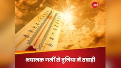 2024 दुनिया का सबसे गर्म साल होगा! बज गई खतरे की घंटी- तबाही बस आने ही वाली है