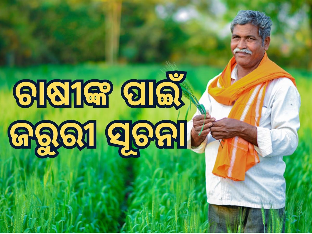 PM Kisan Yojana: ଚାଷୀମାନଙ୍କ ପାଇଁ ସୂଚନା; ସାରି ନିଅନ୍ତୁ ଏହି ସବୁ କାମ, ନଚେତ ୧୯ତମ କିସ୍ତି ପାଇବାର ବଞ୍ଚିତ ହୋଇପାରନ୍ତି 