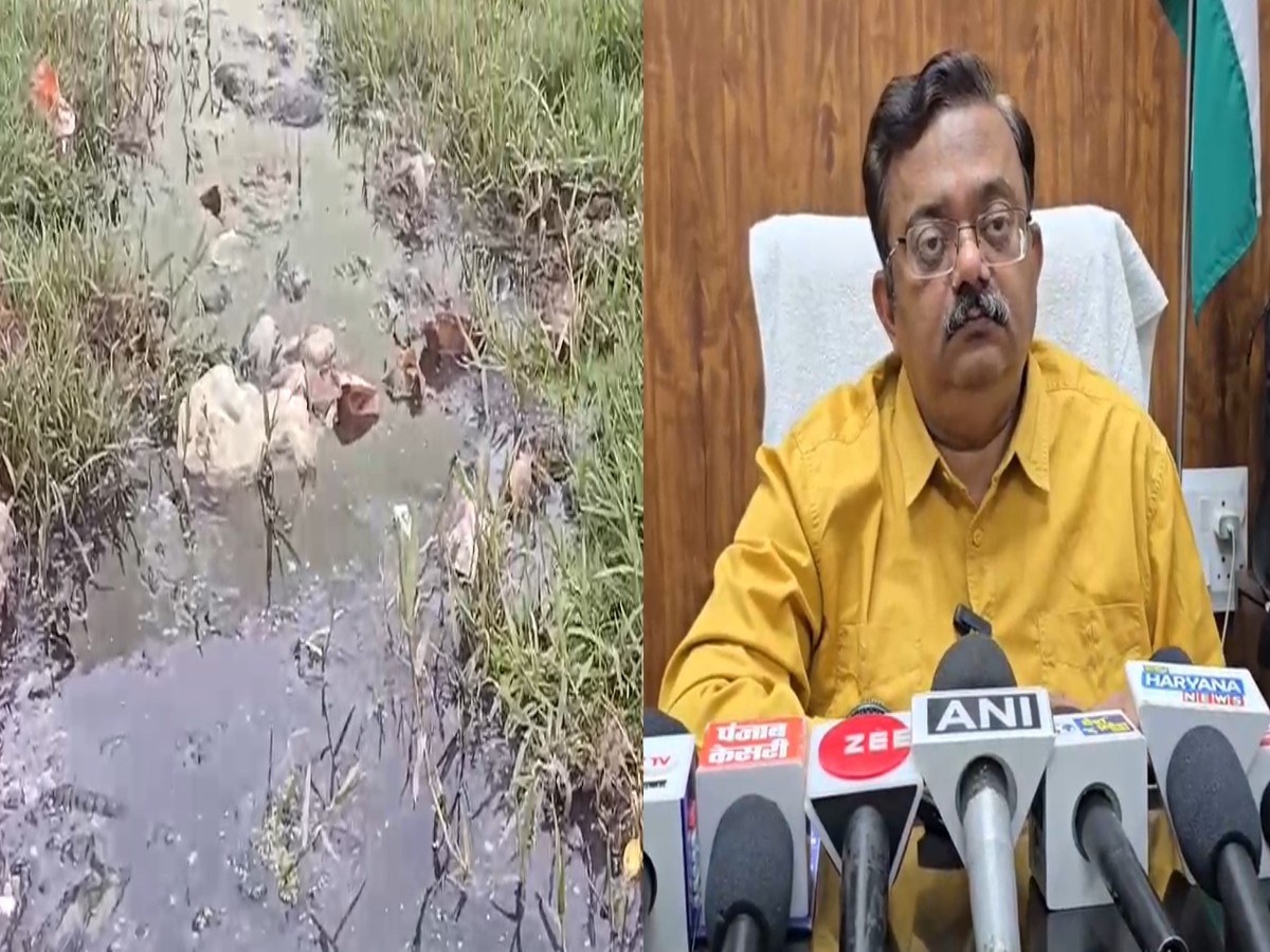 Dengue Case: हरियाणा में तेजी से फैल रहा डेंगू का प्रकोप, गुरुग्राम के बाद अंबाला में बढ़े मामले