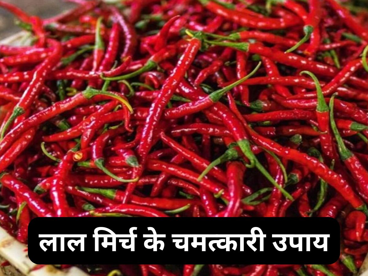 लाइफ की बड़ी से बड़ी परेशानियां हो जाएंगी समाप्त, जानिए लाल मिर्च के चमत्कारी उपाय लाइफ की बड़ी से बड़ी परेशानियां हो जाएंगी समाप्त, जानिए लाल मिर्च के चमत्कारी उपाय