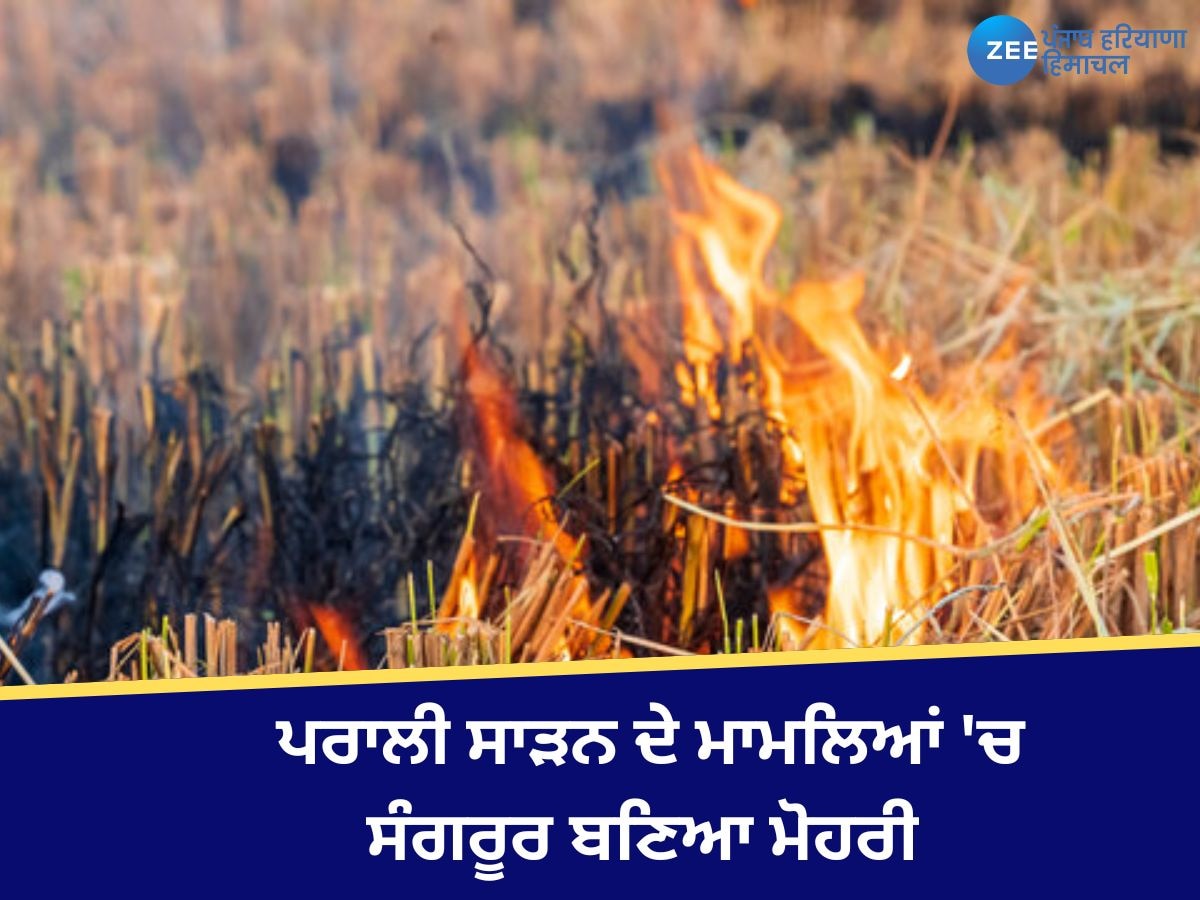 Punjab Stubble Burning: ਪੰਜਾਬ 'ਚ 7 ਨਵੰਬਰ ਨੂੰ 258 ਥਾਵਾਂ 'ਤੇ ਸਾੜੀ ਗਈ ਪਰਾਲੀ, ਸਭ ਤੋਂ ਵੱਧ ਸੰਗਰੂਰ 'ਚ