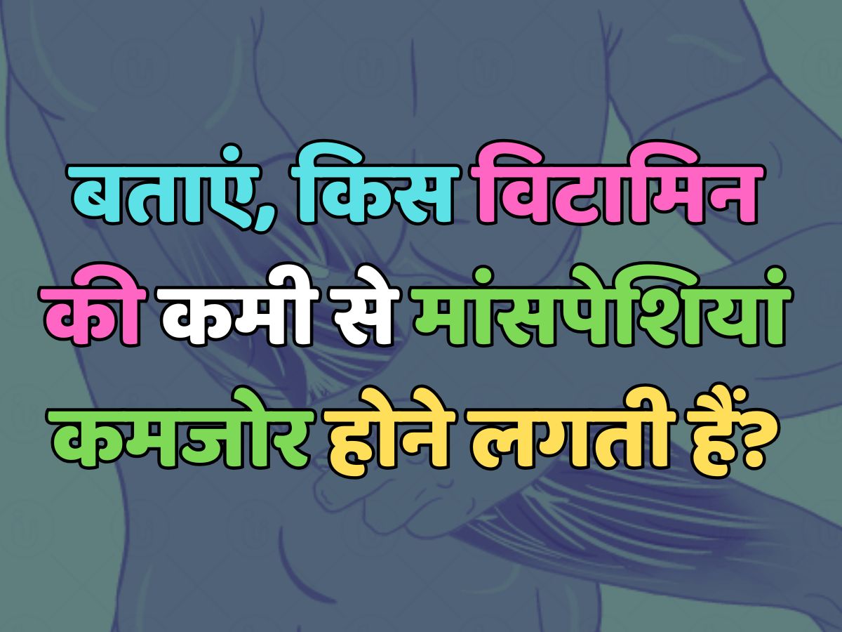 Trending Quiz : आखिर, शरीर में किस विटामिन की कमी से मांसपेशियां कमजोर होने लगती हैं? Trending Quiz : आखिर, शरीर में किस विटामिन की कमी से मांसपेशियां कमजोर होने लगती हैं?