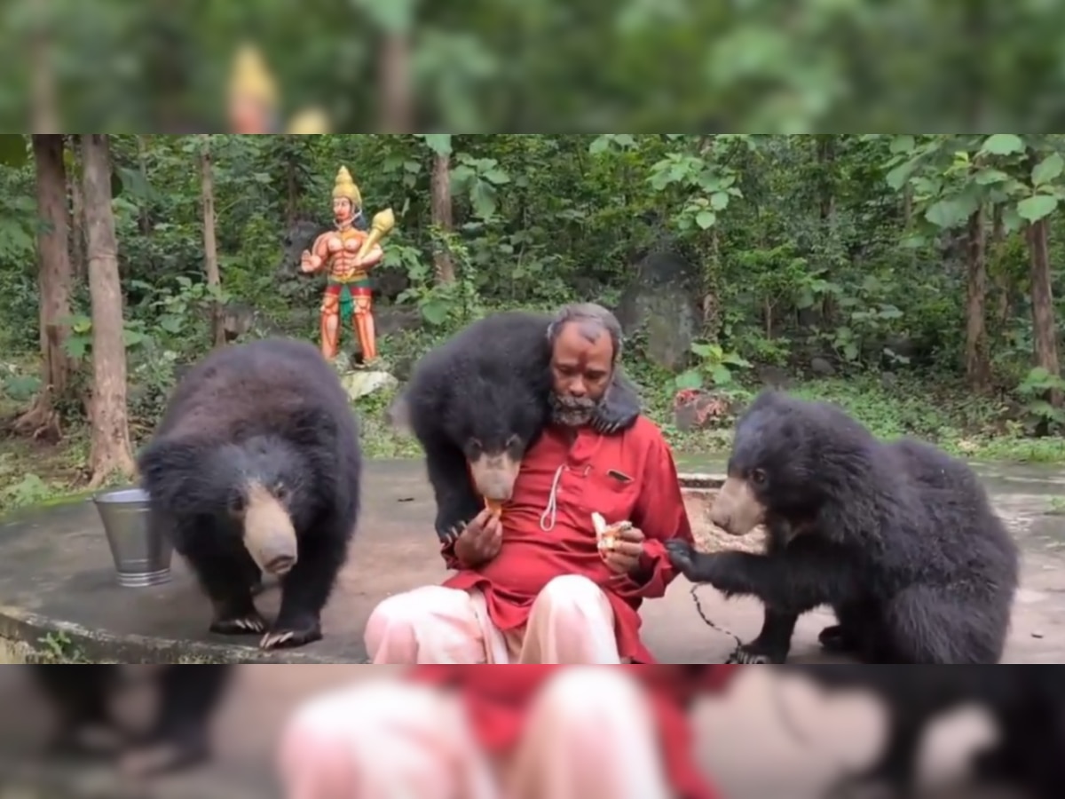  relationship of 6 bears and a saint came daily to eat prasad 