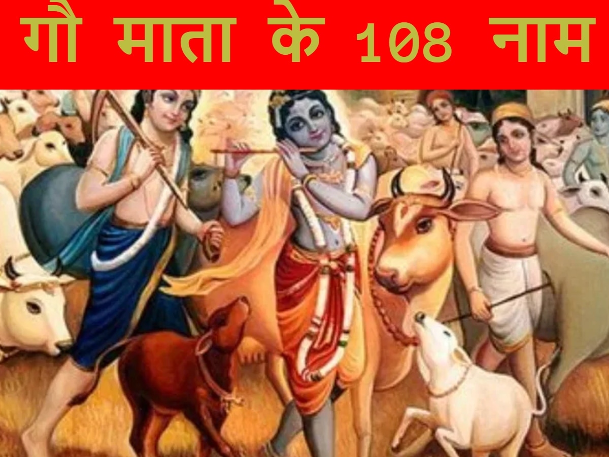 Gopashtami 2024: गोपाष्टमी के दौरान जपें गौ माता का नाम, यहां पढ़ें 108 नाम