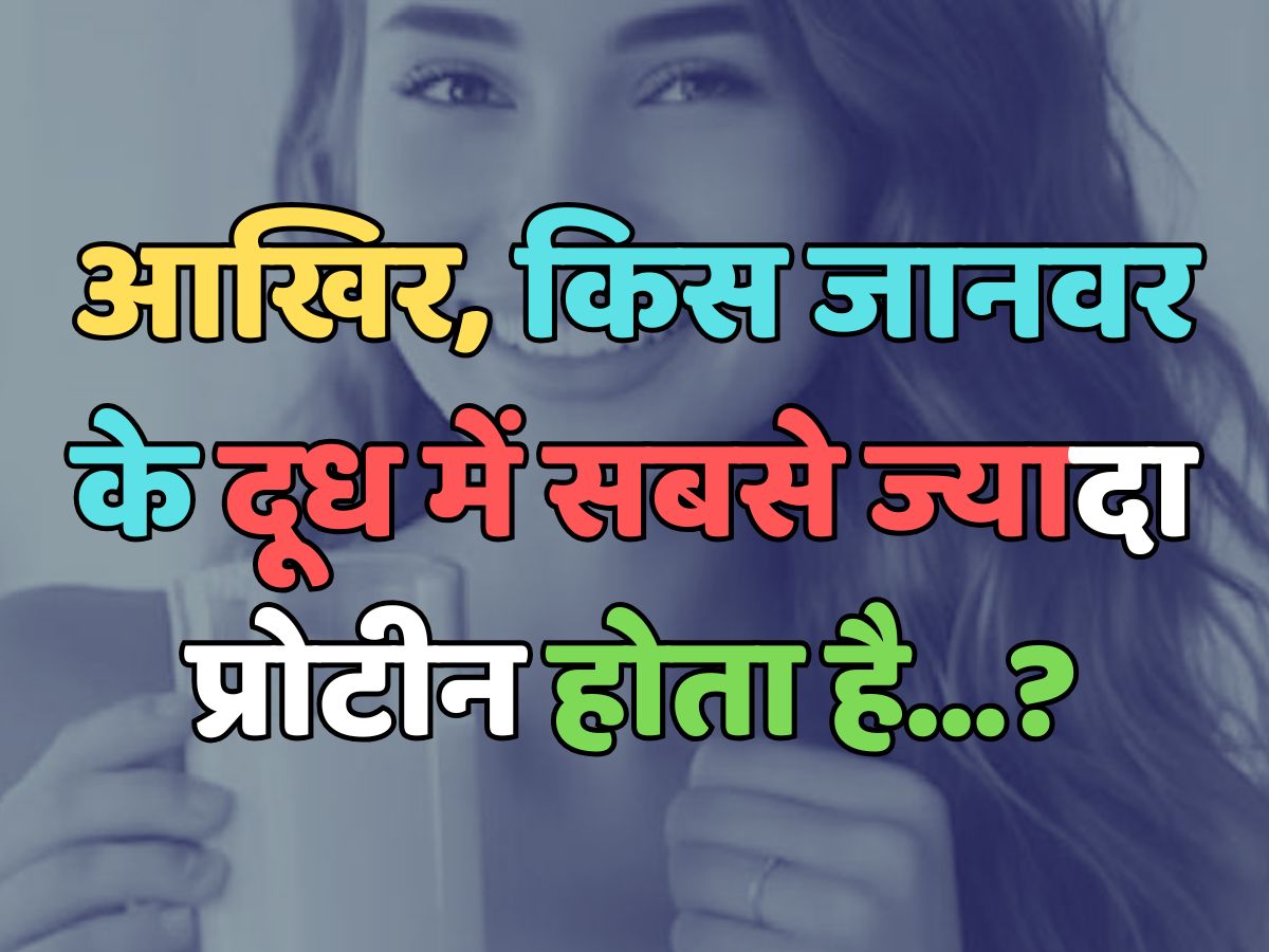 Trending Quiz : आखिर, किस जानवर के दूध में सबसे ज्यादा प्रोटीन होता है?   