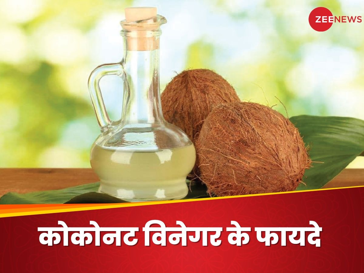 Coconut Vinegar: नारियल का सिरका! वो क्या होता है? फायदे जानेंगे तो नहीं पूछेंगे ऐसा सवाल