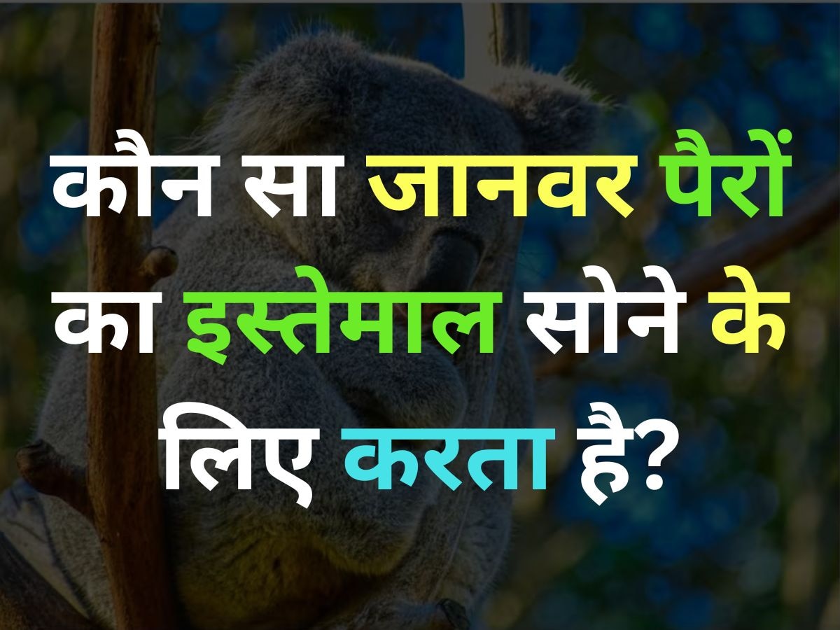 GK Quiz: कौन सा जानवर पैरों का इस्तेमाल सोने के लिए करता है?