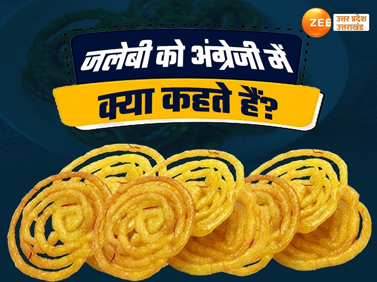 what called Jalebi in English